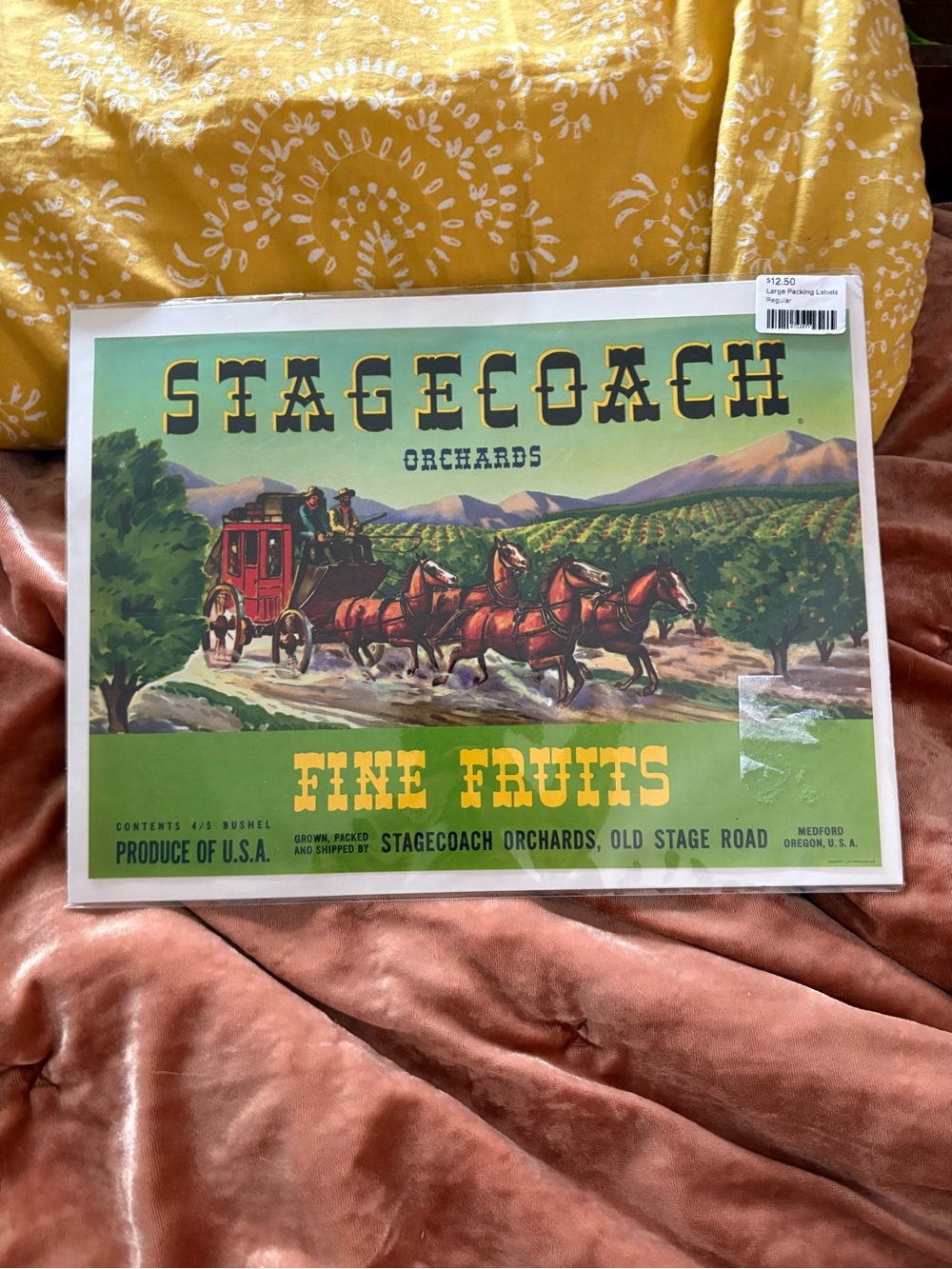 Vintage Oregon Stagecoach Fine Fruits Packing Label Prairie Antique